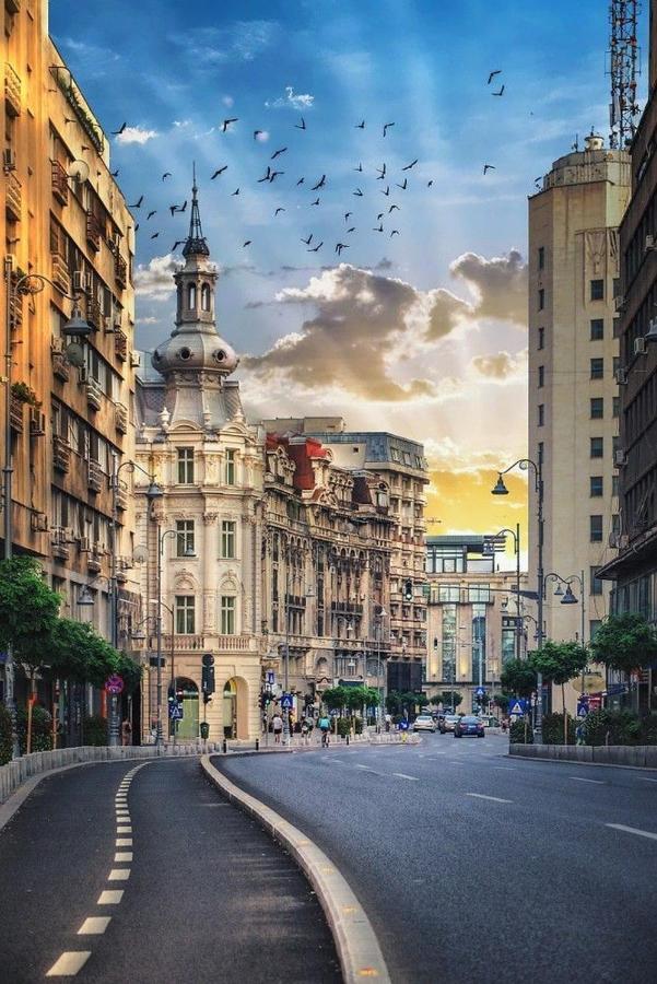 Imob Bibi House Universitate Bucharest Luaran gambar